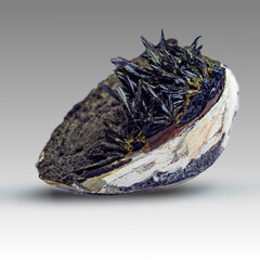 Vivianite and fossils found in seashell form an interesting geological specimen © Mentor56
