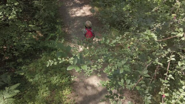 A woman is walking on a dirt path hiking in a forest. She is wearing a red backpack and shorts, aerial drone view