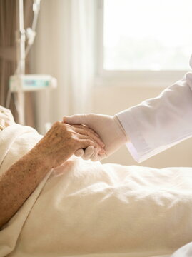 Doctor in latex glove holding elderly patient hand in hospital bed, compassionate healthcare and senior care concept