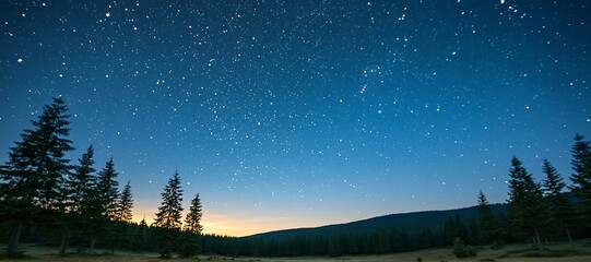 Fototapeta premium Breathtaking Night Landscape With Intense Starry Sky Above Silhouetted Tall Pine Trees And Valley