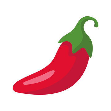 Fresh and vibrant red chili pepper, a hot and spicy culinary ingredient for various dishes