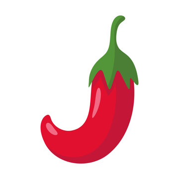Vibrant and fresh red chili pepper icon on white background, symbolizing spice and zest