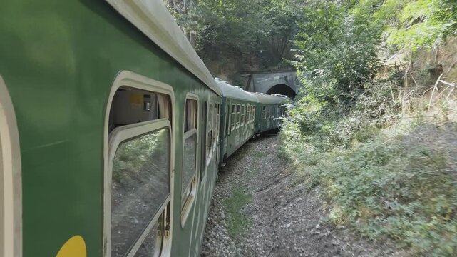 A train is traveling through a forest with trees and mountains in the background. The train is green and has a lot of windows