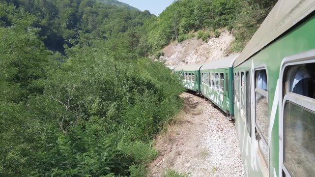 A train is traveling through a forest with trees and mountains in the background. The train is green and has a lot of windows