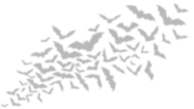 Flying Bat Shadow Overlay Soft Gray Halloween Silhouette Flock Spooky Night Sky Effect Gothic Decorative Design isolated on transparent background