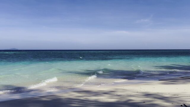 Tropical Beach Shoreline With Clear Blue Water