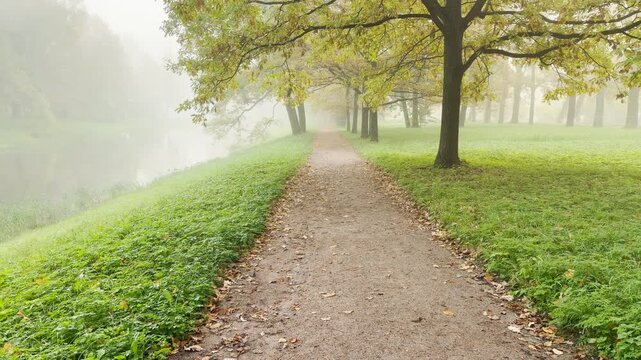 A gravel path winds gently past misty trees along a calm bank. The tranquil setting creates a peaceful mood in Catherine Park, Pushkin, Saint Petersburg, slow motion.