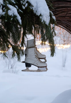 beautiful decor of old white figure skates in snowy garden, winter nature background. symbol of Christmas, New Year holidays, winter festive season. Ice skating outdoor activities in winter season.