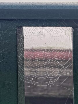 Intricate spider web with shiny morning dew drops in the corner of a structure, macro nature geometric pattern background.