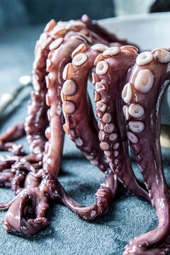 Fresh octopus legs hanging over kitchen surface