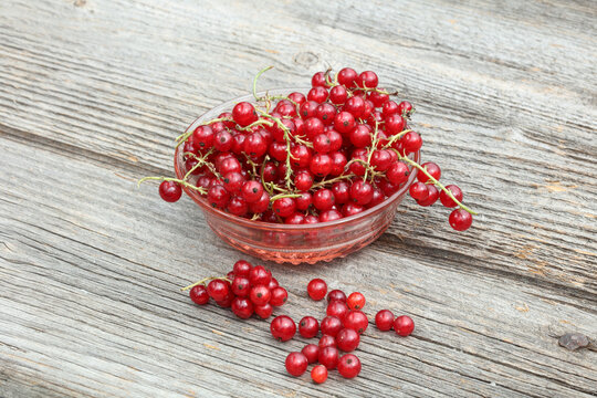 Red Currants in glass bowl on wooden table