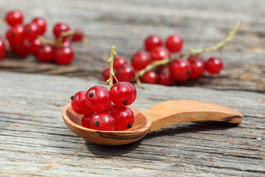Red Currants on wooden spoon on rustic table