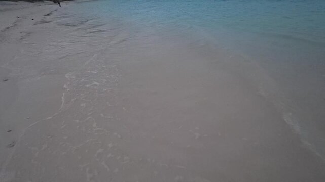 Gentle Ocean Waves on Tropical Sandy Beach