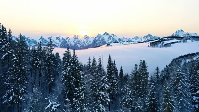 Winter sunset over snowy pine forest. Trees covered fresh snow reflect soft light. Mountain range in background frames cold alpine scenery. Forest, snow, mountains blend into peaceful nature scene