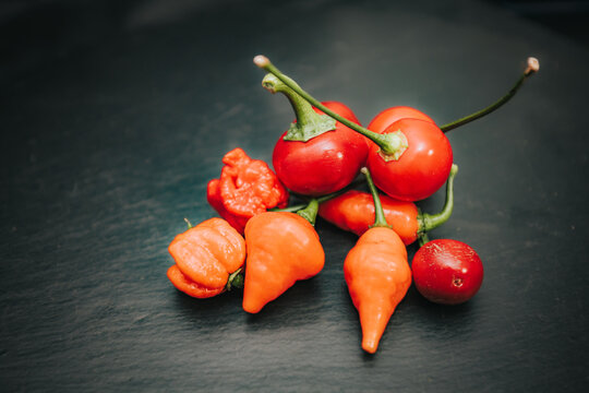 Assorted red and orange chili peppers with curved stems arranged on a dark textured surface in a colorful overhead food composition