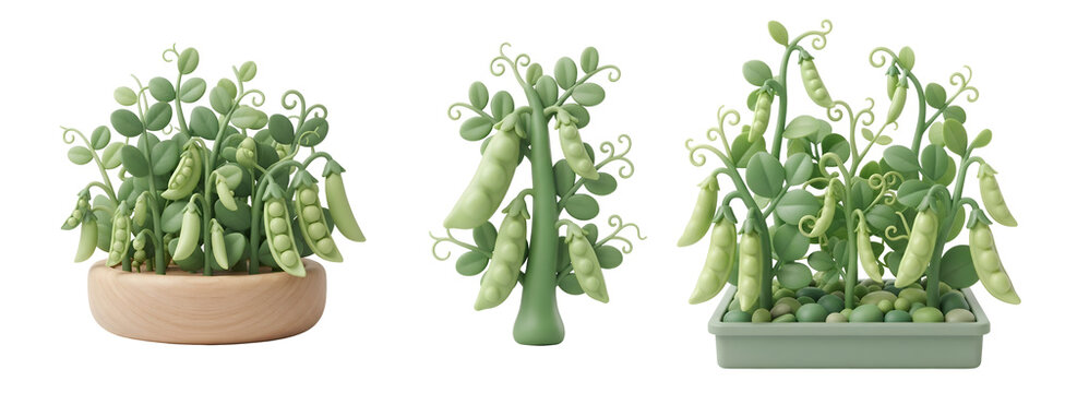 Green pea plants with pods and leaves rendered in charming three dimensional clay style isolated on transparent background