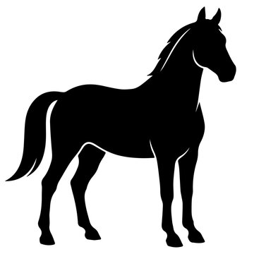 Black silhouette of a standing horse, proud stallion in alert pose side view vector