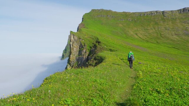 A hiker traverses a lush, green cliff edge overlooking a foggy expanse in Hornstrandir nature reserve on Iceland. This vast and remote landscape offers a sense of tranquility and adventure.