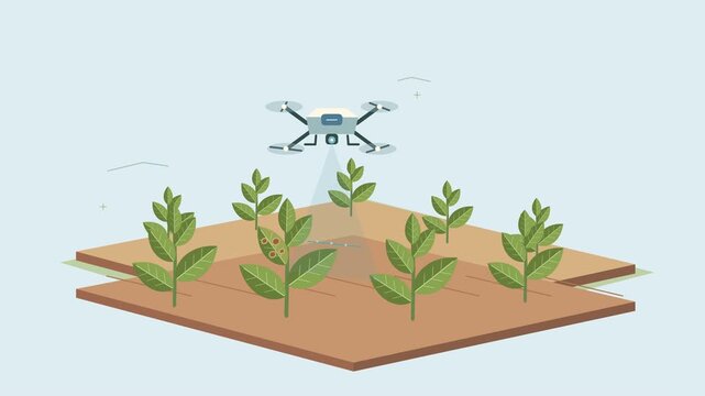 Smart Agriculture Aerial Drone Monitoring Crop Growth and Health in Farm Fields Using Advanced Precision Farming Technology