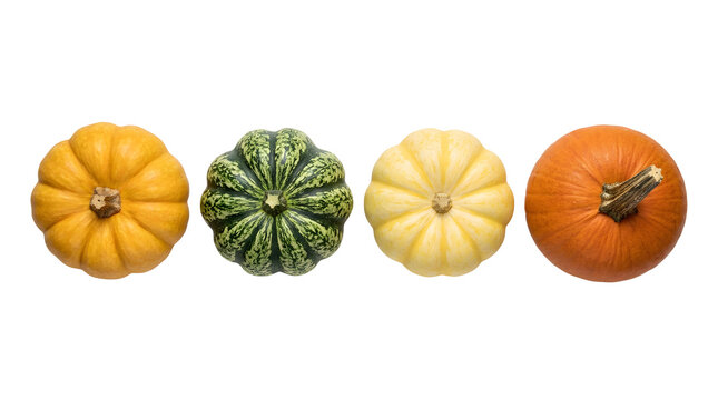 Top down flat lay view of four assorted autumn pumpkins and gourds arranged in a horizontal row, featuring a yellow ribbed pumpkin, a green speckled gourd, a pale yellow pumpkin, and a vibrant orange