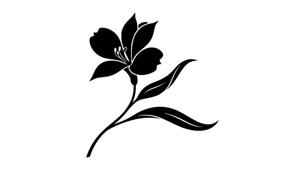 Peruvian Lily Alstroemeria Side Profile Flower Black Silhouette Vector