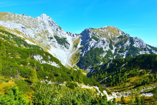 Alpine valley with mugo pine bushes and Dra&scaron;ki Vrh and Vi&scaron;evnik mountain peaks in Julian alps, Gorenjska, Slovenia