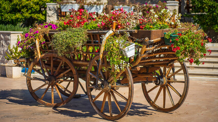 Old wooden cart full of colorful flowers as street decoration © A