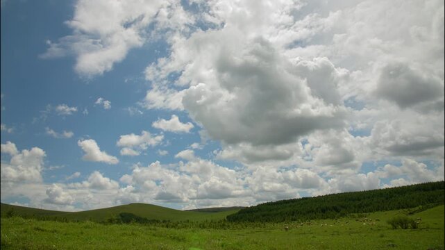 White clouds moving over green grassland landscape