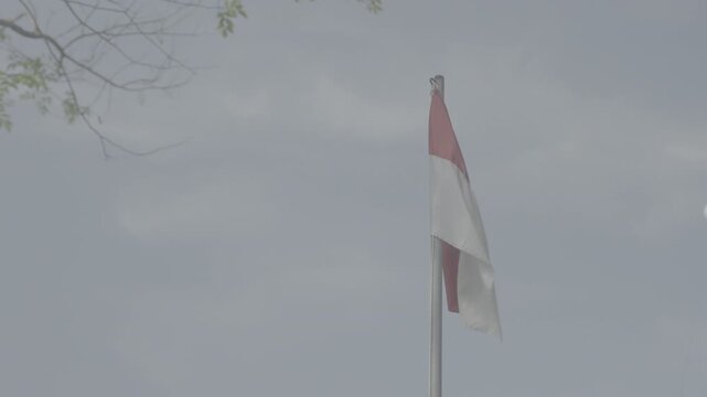 Ungraded log footage of a red and white Indonesian national flag waving on a metal flagpole against a hazy blue sky with a tree branch in the foreground, flat color profile for color grading