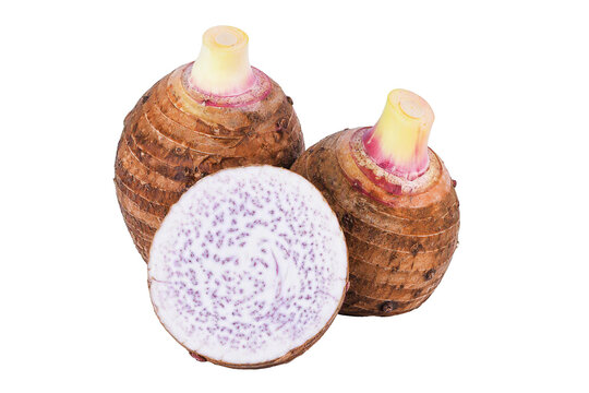 Two fresh taro roots isolated PNG, whole and half taro on transparent background, raw starchy vegetable for cooking