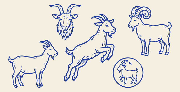 Hand drawn blue line art vector set of goats, jumping goat, ram, and head on beige background