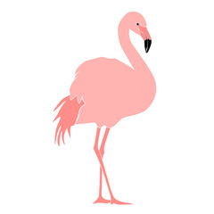 Fototapeta premium pink flamingo vector