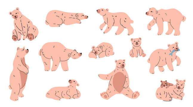 Polar bear characters. Cute Arctic mammals with soft fur different poses, animal sleeping, walking, sitting or carrying fish, mother beside baby cub. Vector cartoon flat style isolated illustration