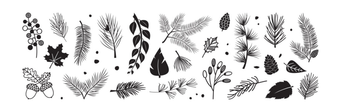 Pine and fir branch, leaf and berry, needle twig black silhouette. Christmas plant, winter or autumn decoration. Simple floral element, pinecone and acorn isolated on white bg. Vector illustration