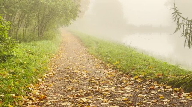 POV walkthrough of an empty autumn path extending along a misty pond in Catherine Park, Pushkin, Saint Petersburg. Fallen yellow leaves create a serene, peaceful atmosphere.