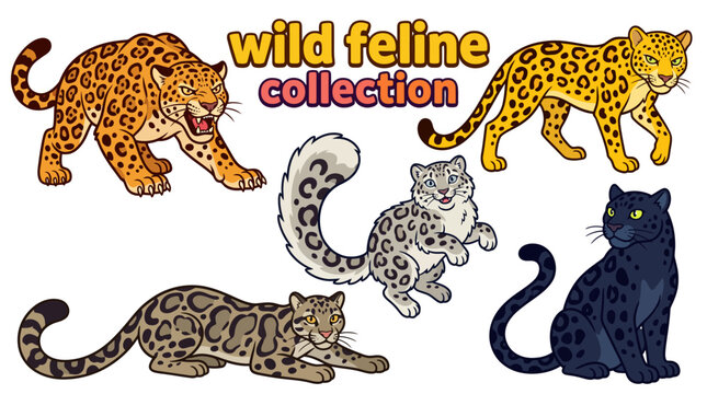 wild feline collection set of leopard jaguar snow leopard clouded leopard and panther predator portraits exotic animals spotted patterns powerful wildlife illustration