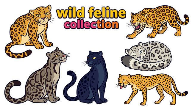 wild feline collection set of leopard jaguar snow leopard clouded leopard and panther predator portraits exotic animals spotted patterns powerful wildlife illustration