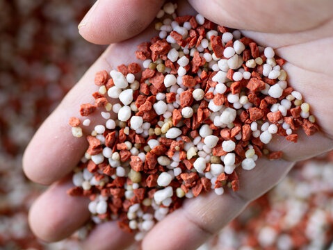Close up of farmer hand holding mixed chemical NPK fertilizer granules