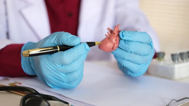 A professional cardiologist uses a heart model to demonstrate the anatomy, function, and management of cardiovascular diseases, including heart attacks and strokes.

