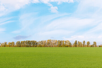 Naklejka premium Fresh farmland stretching to a cloud filled horizon - with a low horizon