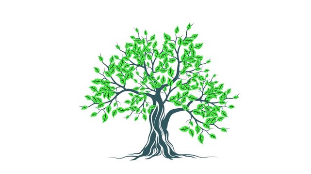 Green tree animation clip with beautiful foliage and branches motion