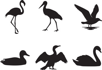 Fototapeta premium Black Water Bird Silhouette Set With Flamingo, Stork, Seagull, Duck, Cormorant and Swan