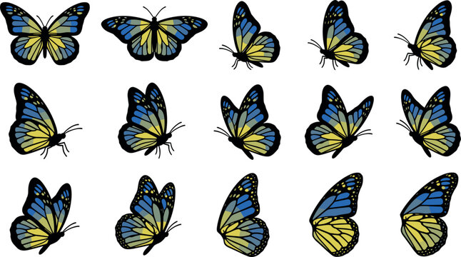 Blue and yellow butterfly flight angles vector icon set