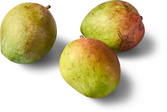 three fresh whole mangoes isolated white background, green and red skin tropical fruit with shadow