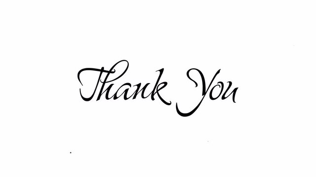 Thank you handwritten in elegant black cursive script as an artistic display graphic. transparent - alpha channel