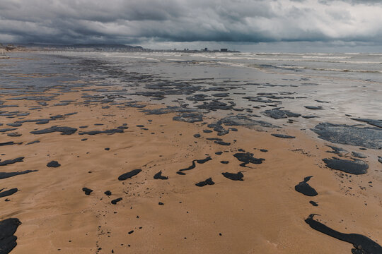 Coastline covered by oil fuel contamination, highlighting the scale of a pollution disaster