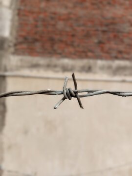 A macro shot focusing on a section of a weathered barbed wire fence against a softly blurred background wall. This striking image highlights the sharp barbs and textured metal wire, making it ideal fo