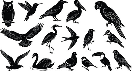 Fototapeta premium Black and white line art illustrations of diverse birds in flight and perched