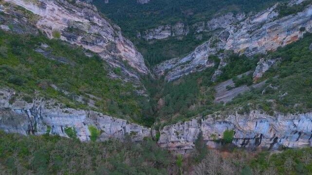 Aerial view from drone of the Ca&ntilde;&oacute;n del R&iacute;o Pur&oacute;n in the Valderejo Natural Park. Municipality of Valdegov&iacute;a. Province of &Aacute;lava. Basque Country. Spain. Europe