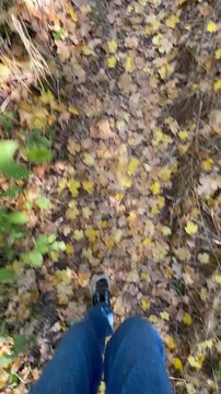 Man in the forest